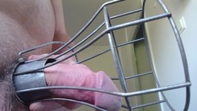 Cock Cage