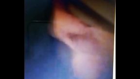 The Real Polpo By Anonimo Veneziano