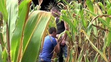 577 straigth flat fucked by Jomy FIX in exhib outdoor corner field