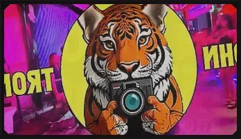 JohnTronX & Tarra White Asian Hardcore Passion