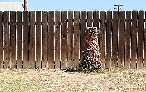 A daddy parading around naked in his backyard.