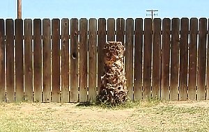 A daddy parading around naked in his backyard.