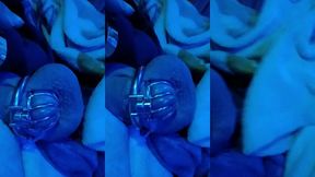 puppy cuming caged