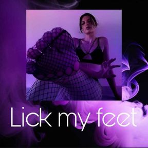 pov : you lick my feet everyday