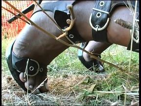 Crazy fuck with a black shemale