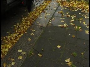 Outdoors interview with sexy babe