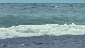 Spotted: the Ocean's Personal Hype Man. Waves Crashing, Muscles Glistening, and Absolutely Zero Chill.