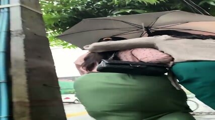 Myanmar walking ass (29)
