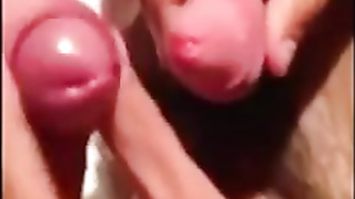 knocking cocks