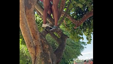 Carnaval: foi em cima da &aacute_rvore, no meio do bloco tomando na buceta e engolindo porra de desconhecido