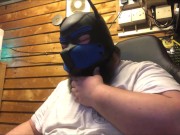 breakin in the pups hood (belly clip included)