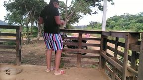 Amateur couple gets intimate in a crowded corral