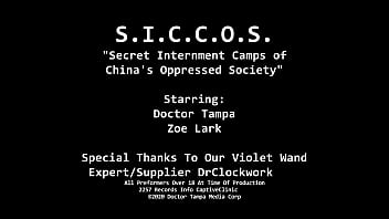 SICCOS - Zoe Lark