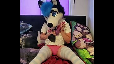 little doggy knots himself with baddragonTM Rex