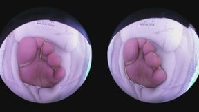 In your boss Gaga's sneaker (Tiny3DX 06)