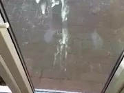 Shooting a huge load against the window
