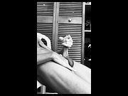 monochrome bbc stroking session - intense handjob and cum black20one