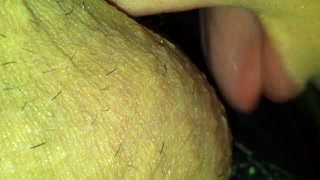 asmr....kisses and licks on my husband's beautiful big cock