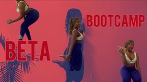 Beta Bootcamp