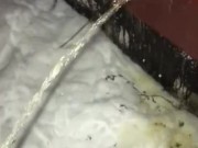 Pissing on a public building