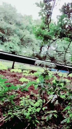 Slutboyben Cam4 Next to Highway