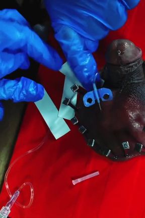 Dominatrix Mistress April - Fix him down xhv