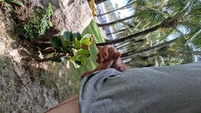 Public Beach Cock Flash