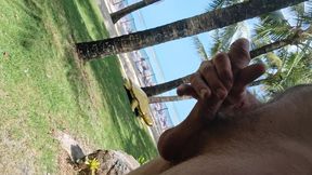 Public Beach Cock Flash