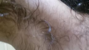 Sweaty furry after a workout