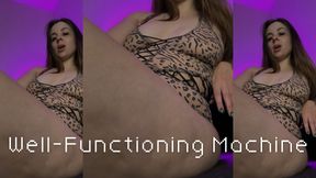 Well-Functioning Machine
