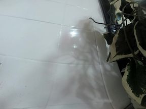 Lizzy Yum VR 2025 Edging #198