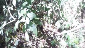 We Slept in the Forest &mdash;  Searching for the Perfect Spot (Part 1)