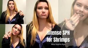 Intense SPH for Shrimps