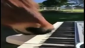 CAVALO DO RATINHO FAZENDO MILAGRE