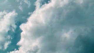 French amateur joi: get hard in 5 minutes with big cocks and cumshots!