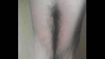 Gordelicia