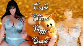 Cash Slave Piggy Bank wmv