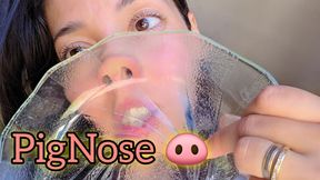 PigNose in glass