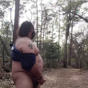 Chubby bear in the woods