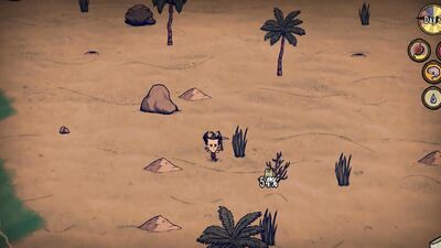 Don't Starve Shipwreck