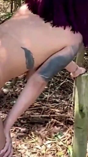 Sexo No Mato