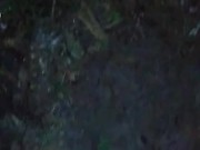 Pissing on the fire