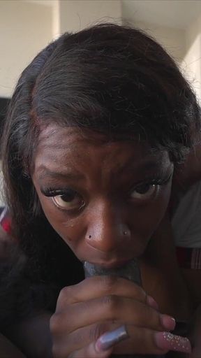 We love majesty part 1