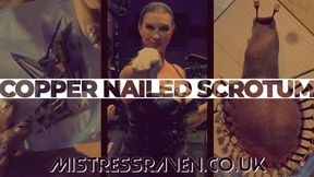 [1120] CBT Copper Nailed Scrotum