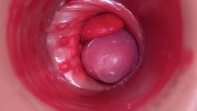 Inside a Camgirl Cervix POV Camera in Vagina with Big Dick Toy