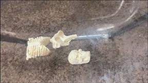 giantess - Bread of the Broken: Giantess MXDominion’s Ass and Feet Obliterate Tiny Bones, female domination, shrinking fetish, crush 1080 smaller