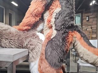 Twink Male Gets Banged By Landlord For Unpaid Rent