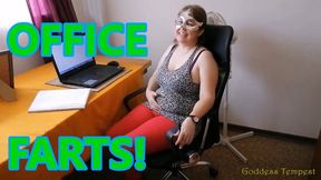 Admin Girl Farts In Office - Facefarts, Farting, Public Farting, Office Domination, Ass Worship, Ass Fetish, Jeans Fetish, Solo Female 720p