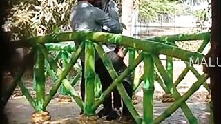 Desire Unleashed - Erotic Dance of Passion with Hot Indo-Pakistani Couple