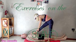 VIDEO EXERCISES ON THE SLAVE
